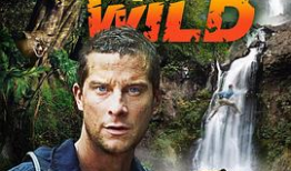 荒野求生动漫,逆境中的生存智慧与人性光辉